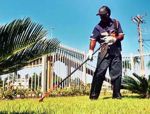 SPSP Jardinagem